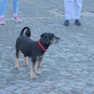 img_2028.jpg