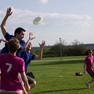 frisbee13-pk.jpg