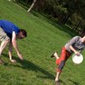 frisbee31-pk.jpg