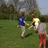 frisbee32-pk.jpg