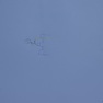 img_0434.jpg