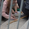 20250505-182235_plisek.jpg
