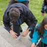 20250505-183702_plisek.jpg