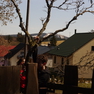 imgp6333.jpg